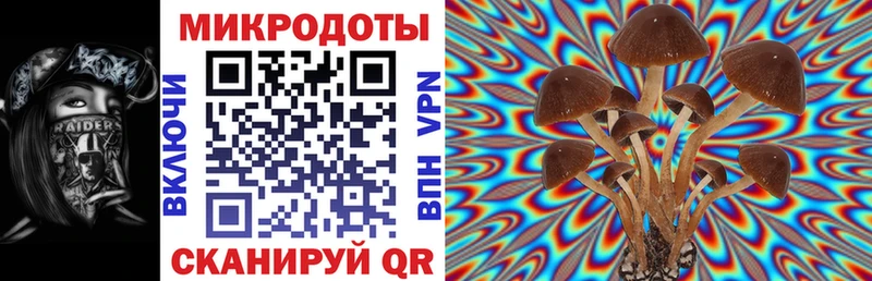 Псилоцибиновые грибы Magic Shrooms  Суоярви 
